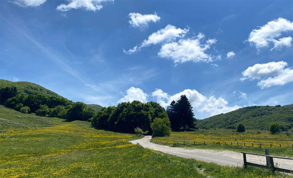 Flowery meadow and green hills in Umbria under a blue sky, natural Italian landscape near the Mastrogiorgio workshop.